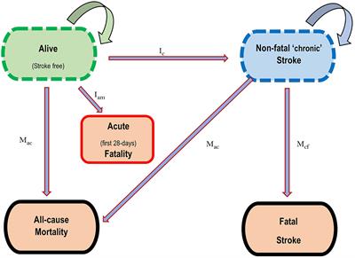 Dietary Salt Reduction, Prevalence of Hypertension and Avoidable Burden of Stroke in Vietnam: Modelling the Health and Economic Impacts